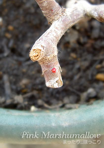 070307-2.jpg
