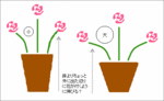 クリックすると拡大図が開きます