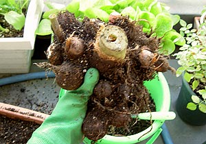 片手で持つのがやっとです