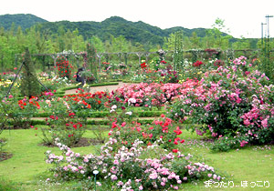 河津バガテル公園