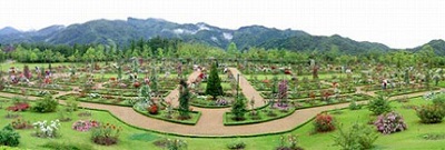 バラ園を見下ろす景色