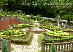 0624-6.jpg