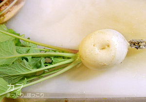 カブ収穫しました~♪