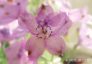 また開いてます