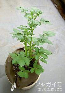 070705-1.jpg