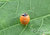 070928-2.jpg