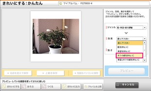 クリックすると大きめの画像が開きます