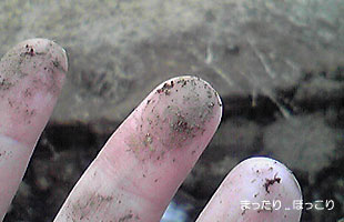 090119-4.jpg
