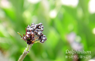 090410-1.jpg