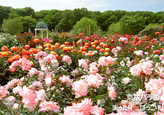 090526-3.jpg