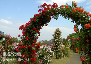 090527-08.jpg