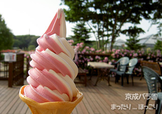 090527-14.jpg