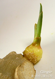 091031-6.jpg