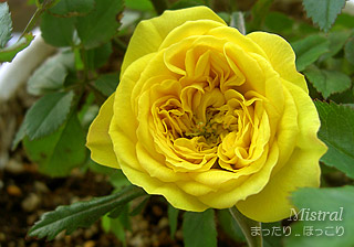 100427-2.jpg