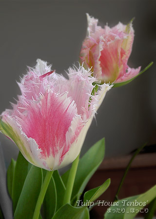 100427-3.jpg