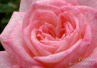 100621-4.jpg