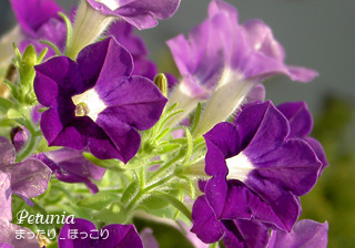 100828-3.jpg