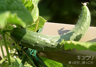 100830-5.jpg