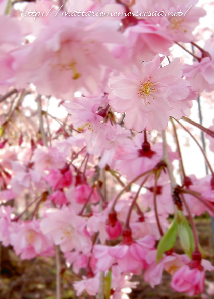 120420-03.jpg
