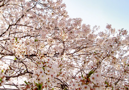 120420-04.jpg