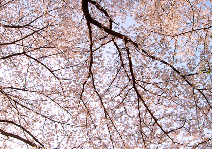 120420-05.jpg