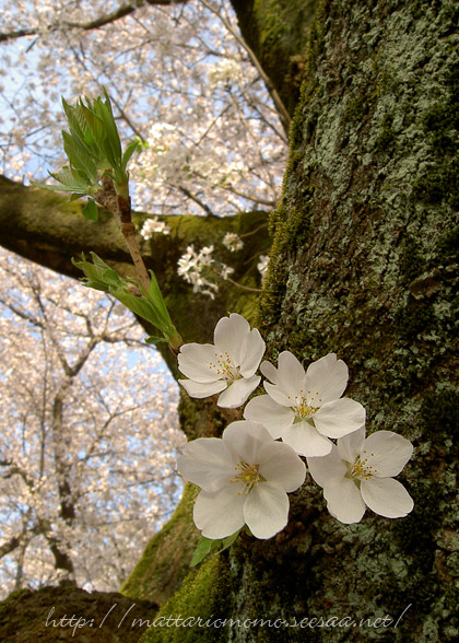 120420-07.jpg