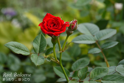 120617-4.jpg
