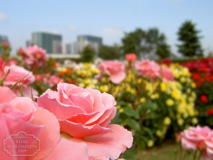120618-1.jpg