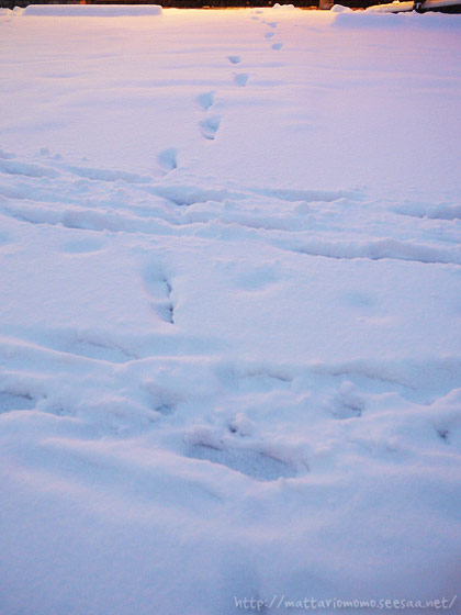 140214-5.jpg