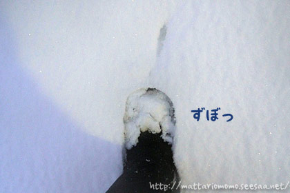 140214-6.jpg