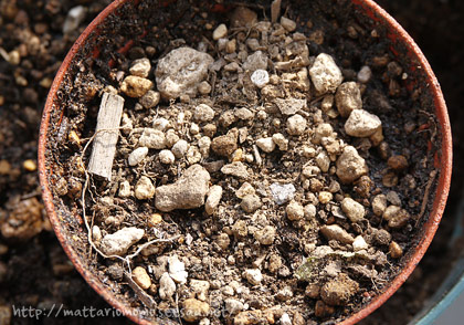 140306-3.jpg
