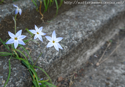 140419-4.jpg