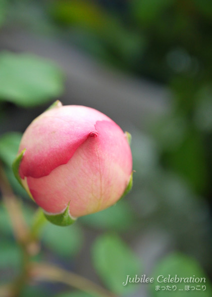 140514-3.jpg