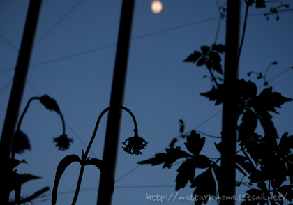140805-2.jpg