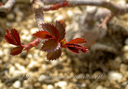 120320-5.jpg